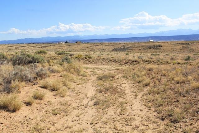  5.4 Acres for Sale in Mesita, Colorado