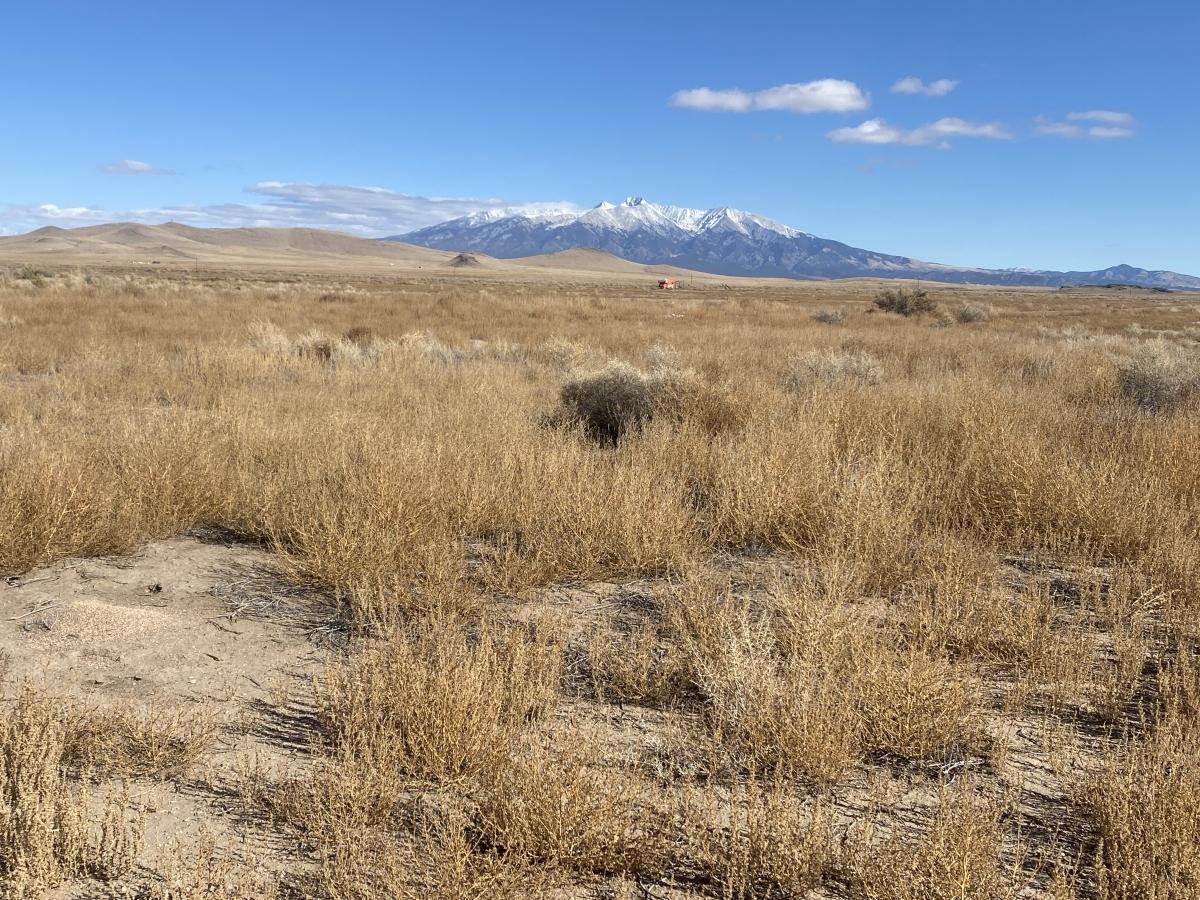  5 Acres for Sale in Blanca, Colorado