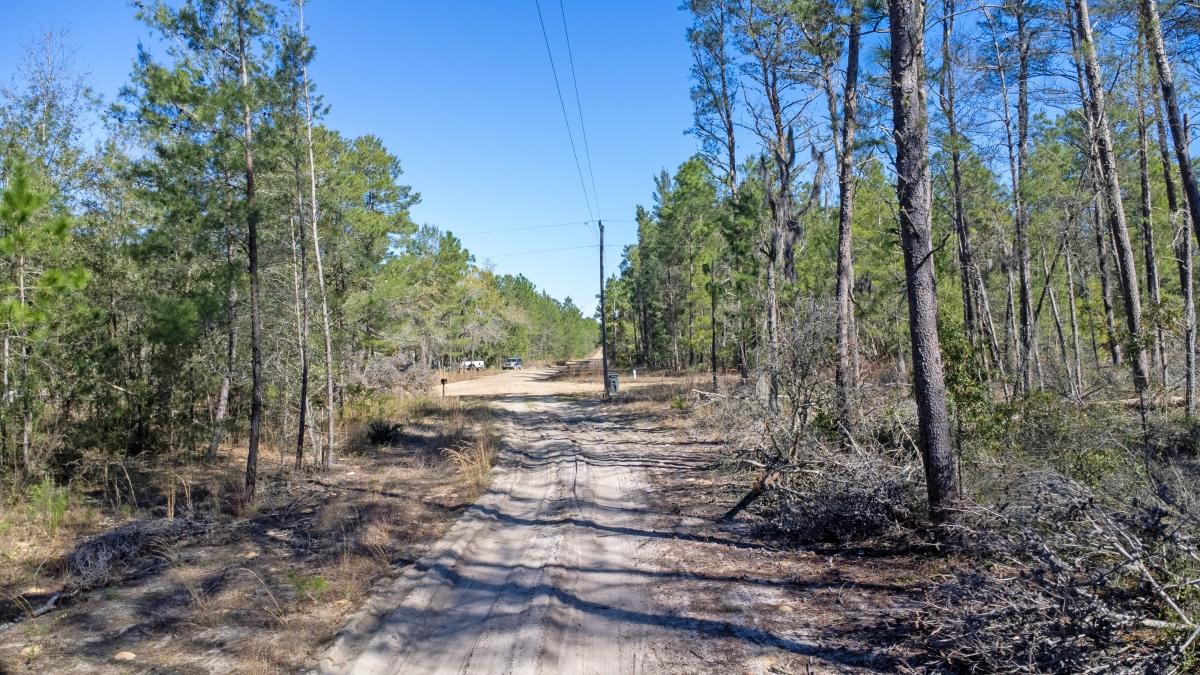  0.18 Acres for Sale in Florahome, Florida