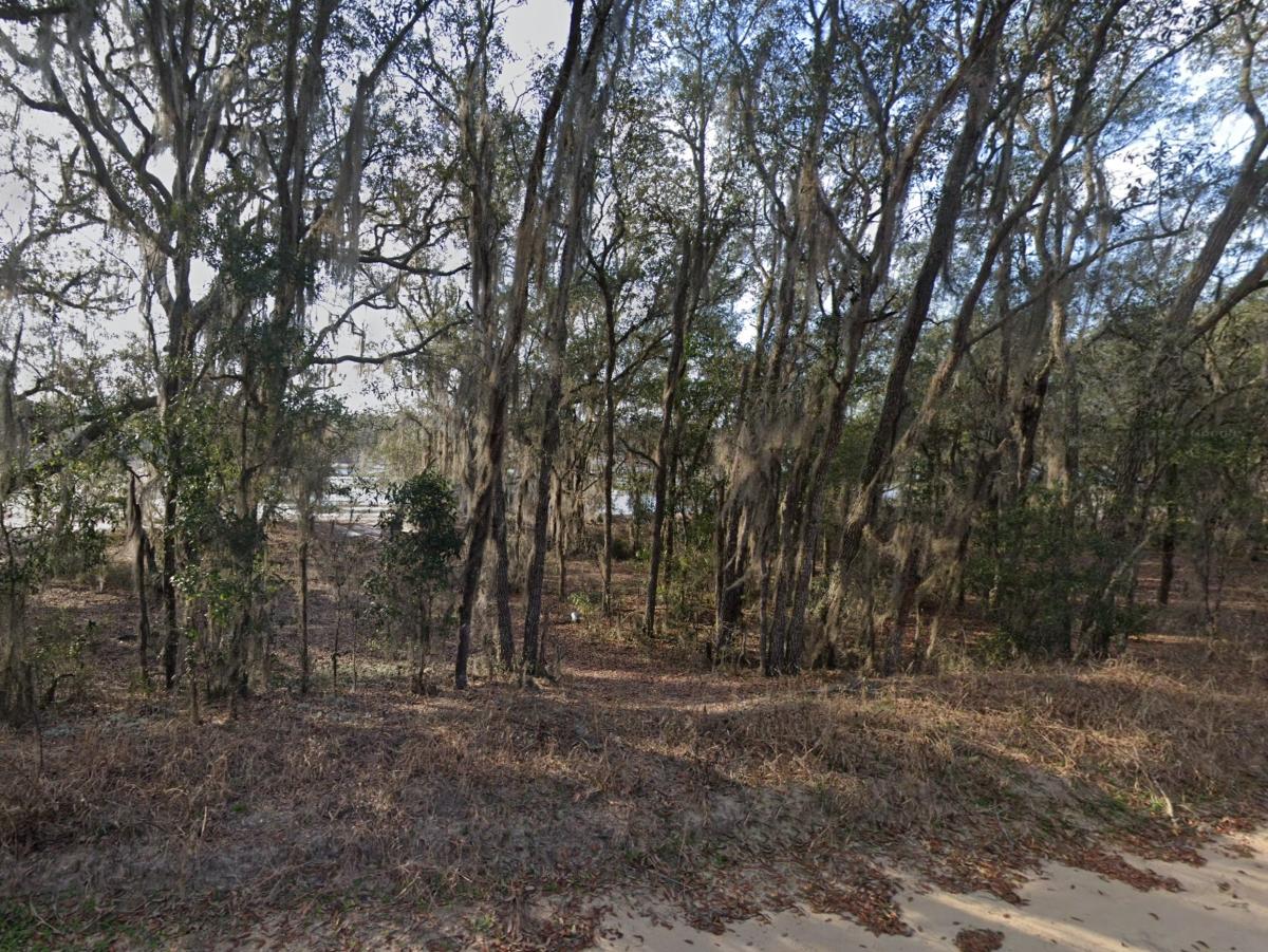  0.3 Acres for Sale in Interlachen, Florida