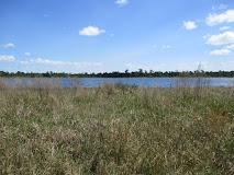  0.28 Acres for Sale in Sebring, Florida