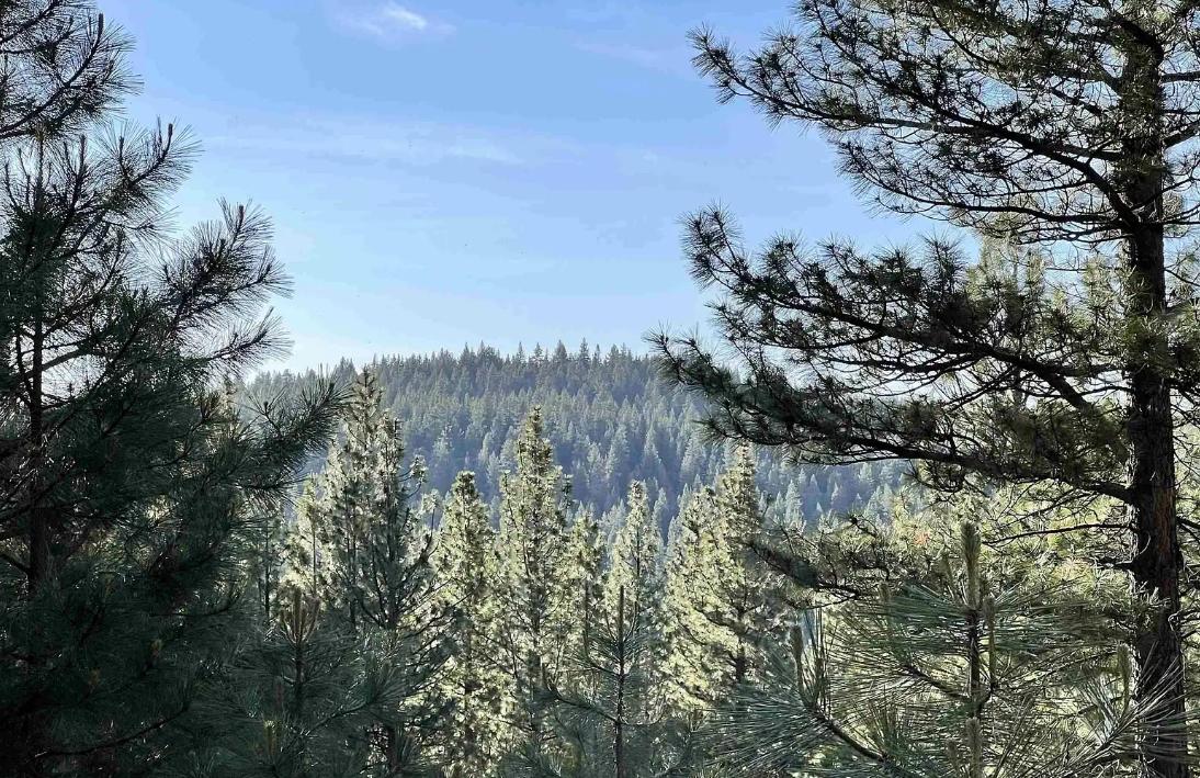  0.91 Acres for Sale in Alturas, California