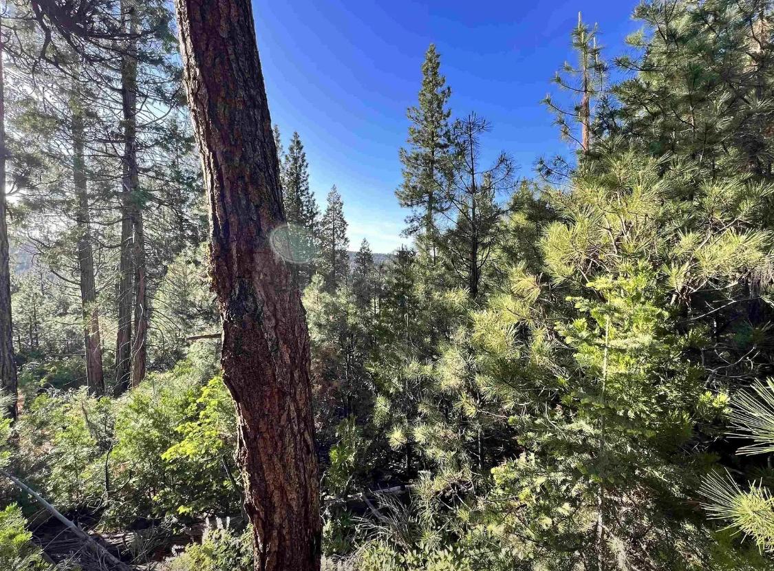  0.87 Acres for Sale in Alturas, California