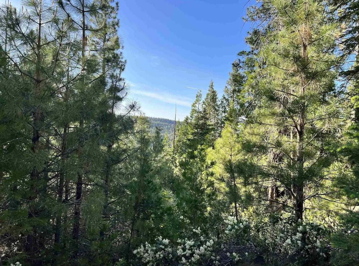  0.87 Acres for Sale in Alturas, California