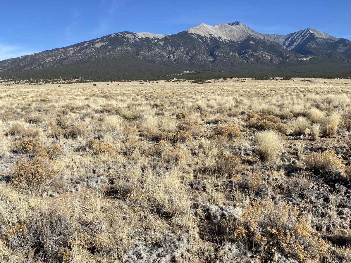  5 Acres for Sale in Mesita, Colorado