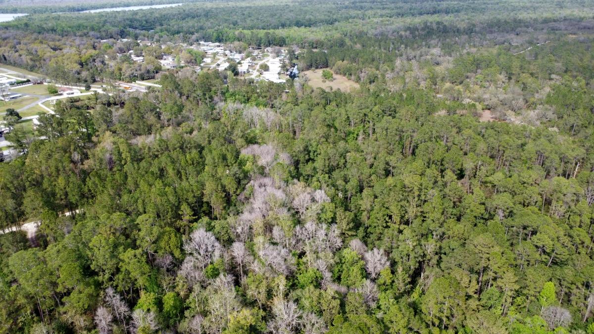  1.13 Acres for Sale in Satsuma, Florida