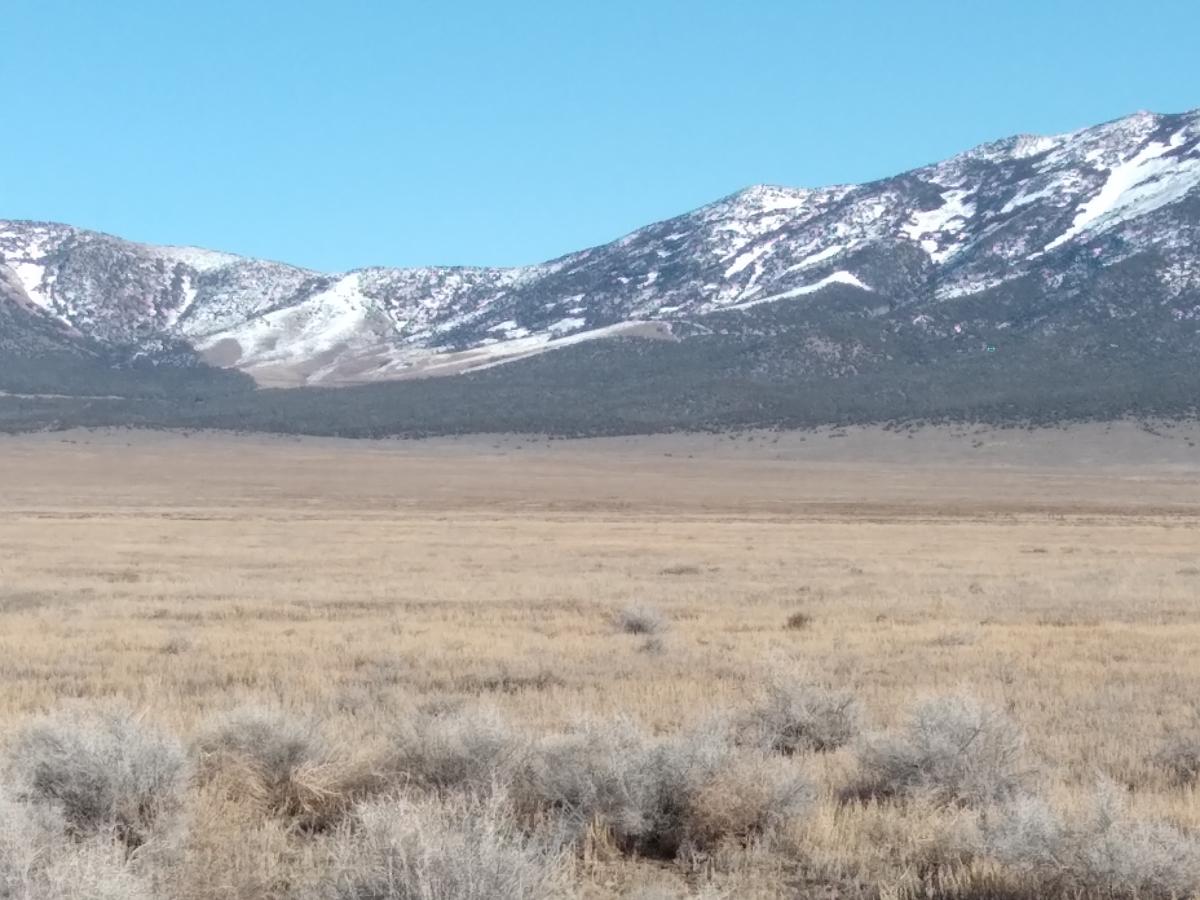  10 Acres for Sale in Montello, Nevada