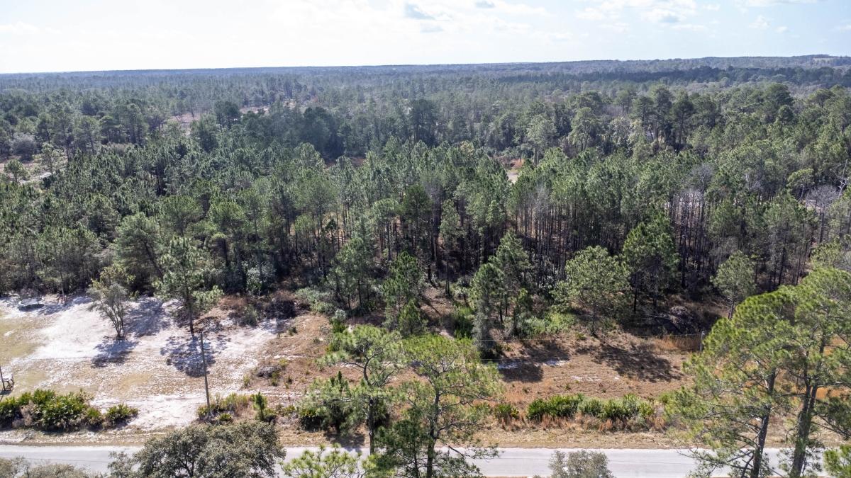  0.24 Acres for Sale in Ocklawaha, Florida