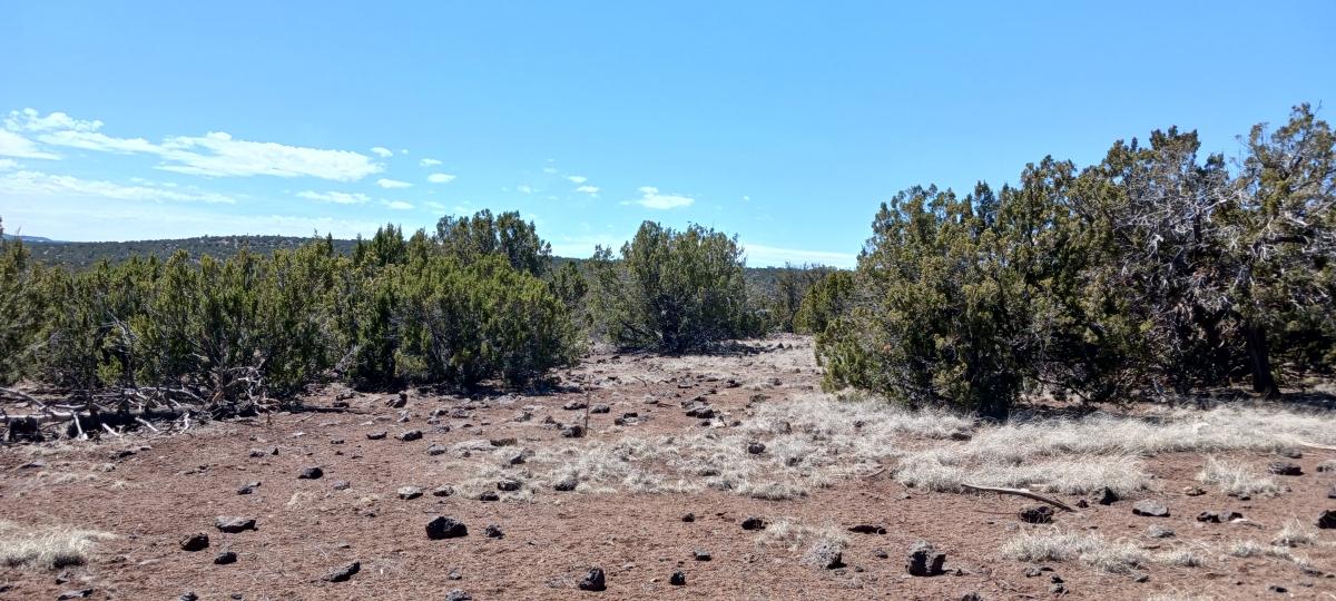  1.19 Acres for Sale in Concho, Arizona