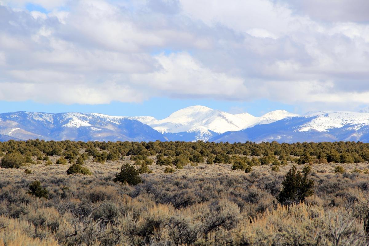  2.53 Acres for Sale in San Pablo, Colorado