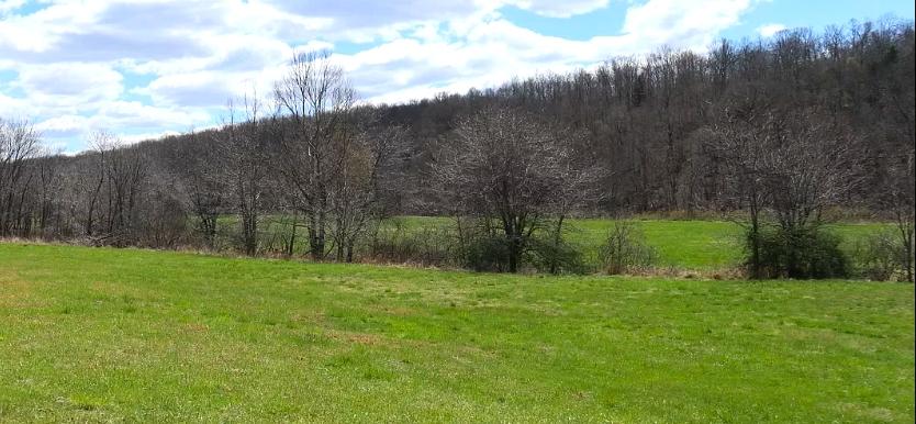  0.34 Acres for Sale in Horseshoe Bend, Arkansas