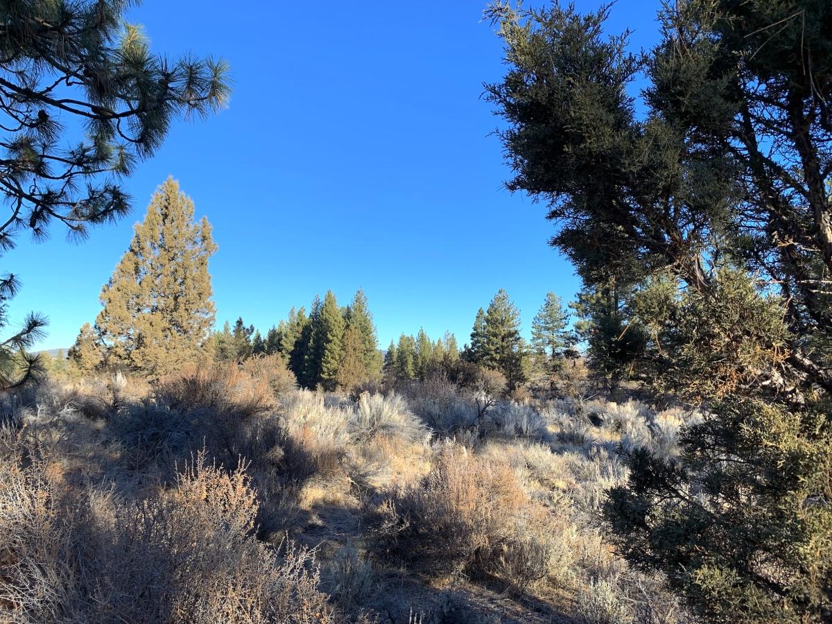  2.4 Acres for Sale in Sprague River, Oregon