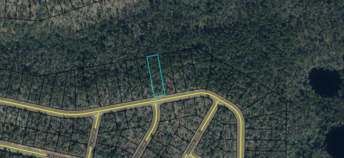  0.55 Acres for Sale in Wausau, Florida