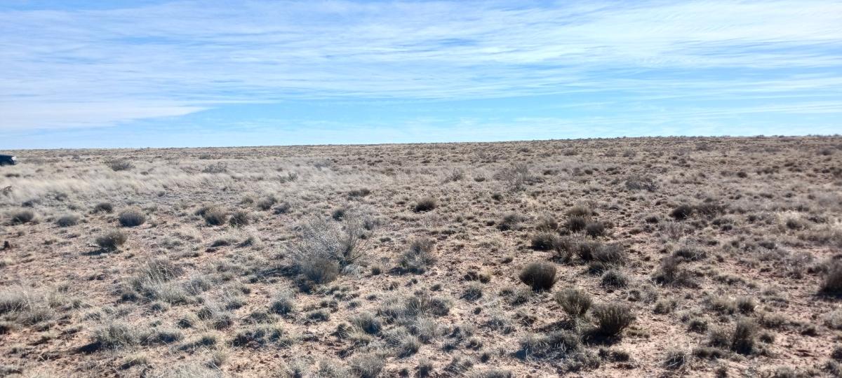  1.06 Acres for Sale in Adamana, Arizona