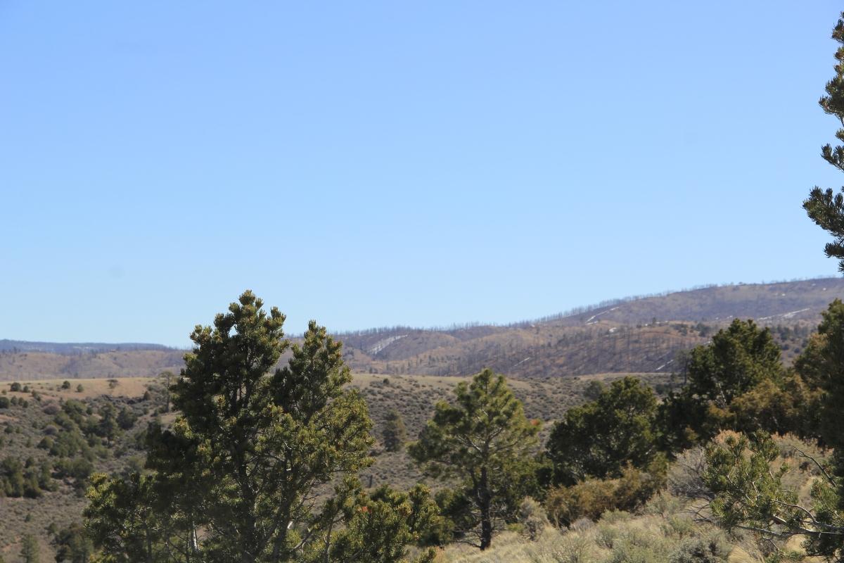  5.06 Acres for Sale in Fir, Colorado