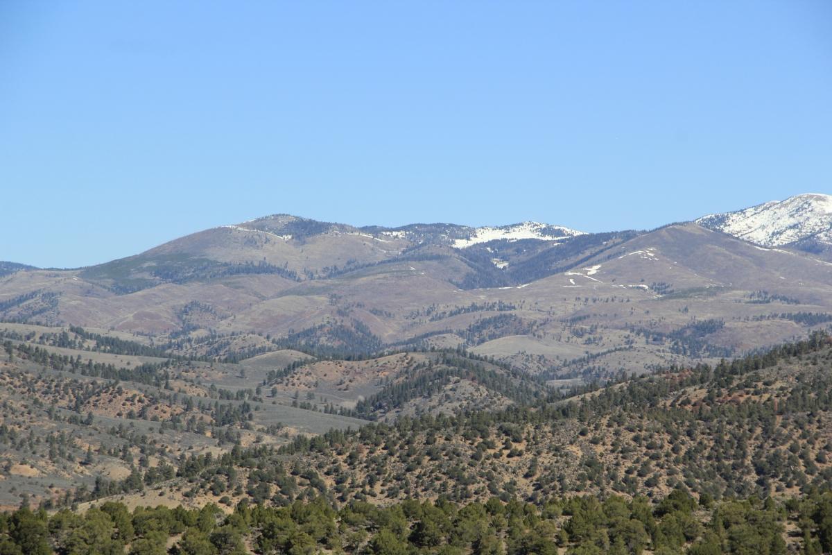  5.06 Acres for Sale in Fir, Colorado