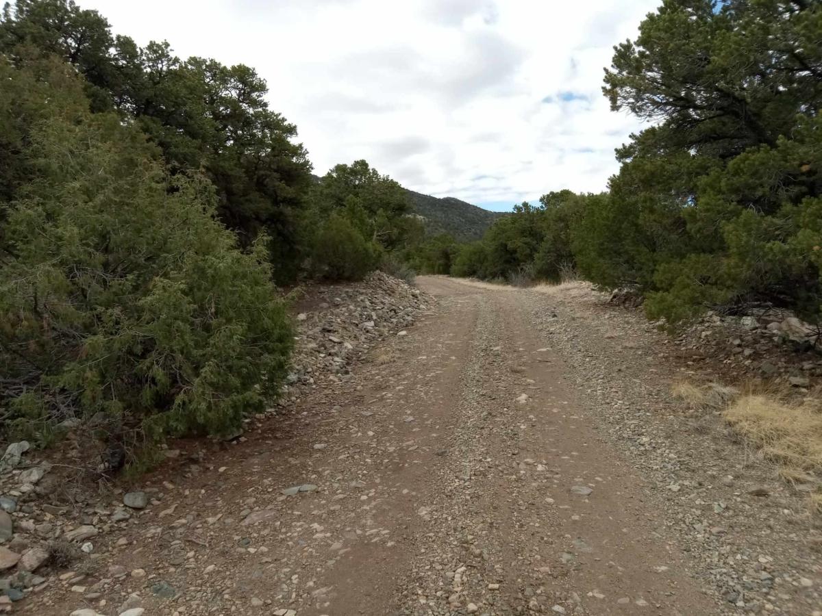  1.27 Acres for Sale in Mosca, Colorado