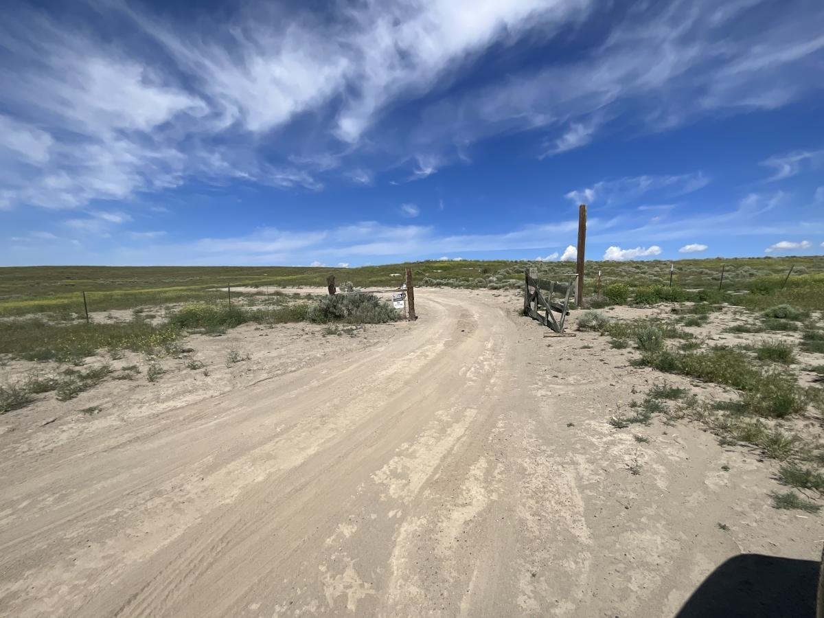  40 Acres for Sale in Halleck, Nevada