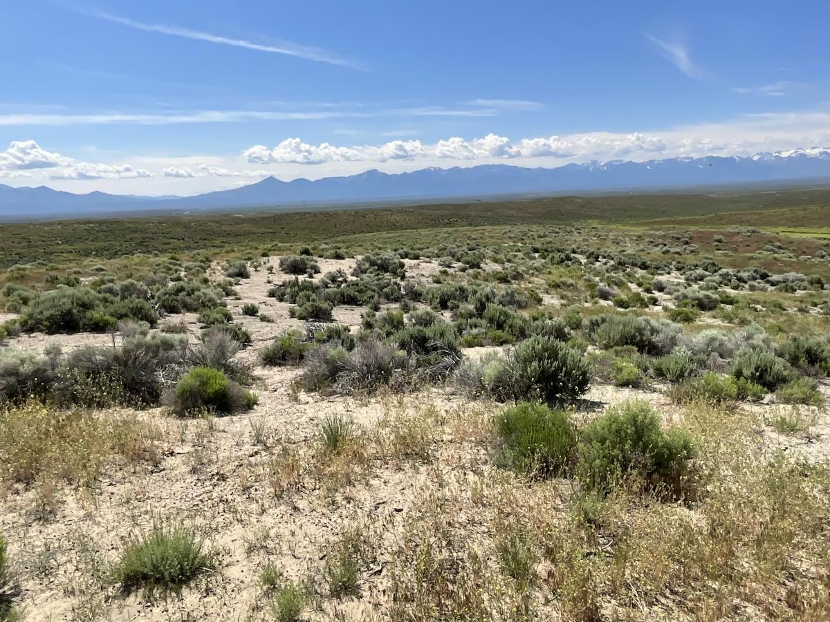  40 Acres for Sale in Halleck, Nevada