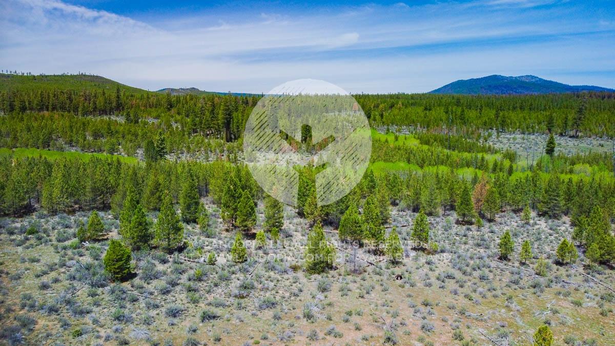  1.51 Acres for Sale in Chiloquin, Oregon