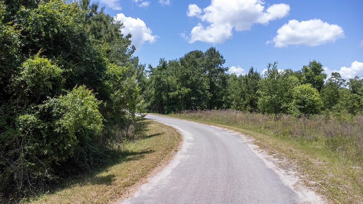  0.23 Acres for Sale in Ocklawaha, Florida