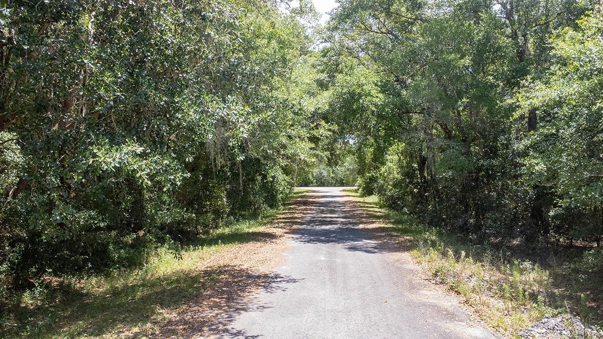  0.23 Acres for Sale in Ocklawaha, Florida