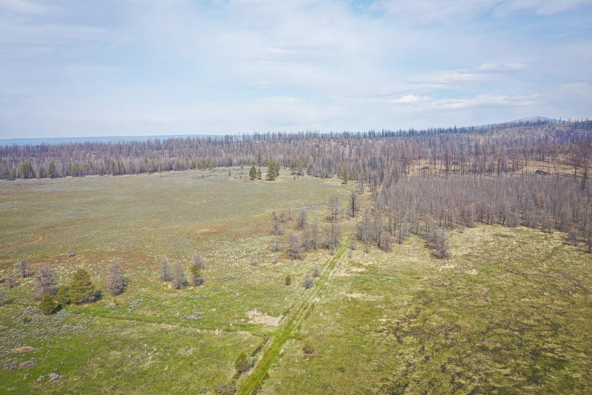  10.45 Acres for Sale in Bly, Oregon