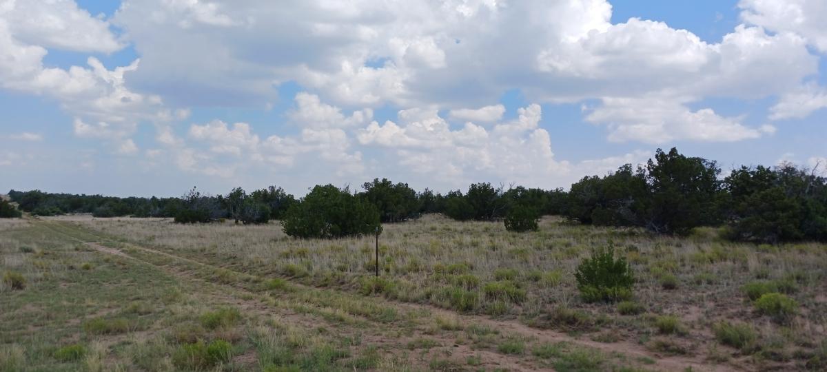  2.5 Acres for Sale in Chambers, Arizona