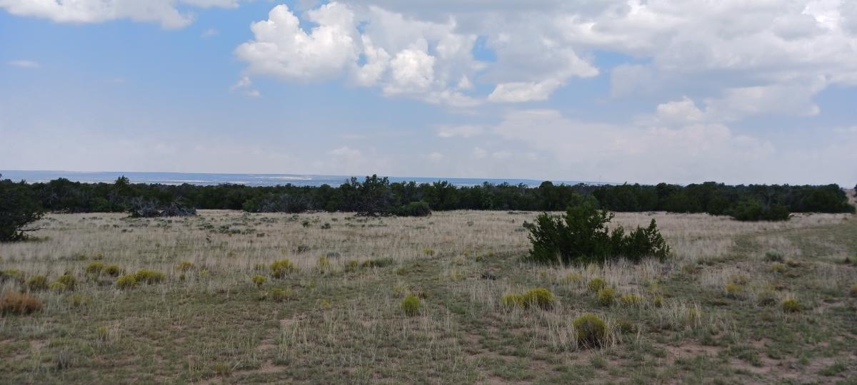  2.5 Acres for Sale in Chambers, Arizona