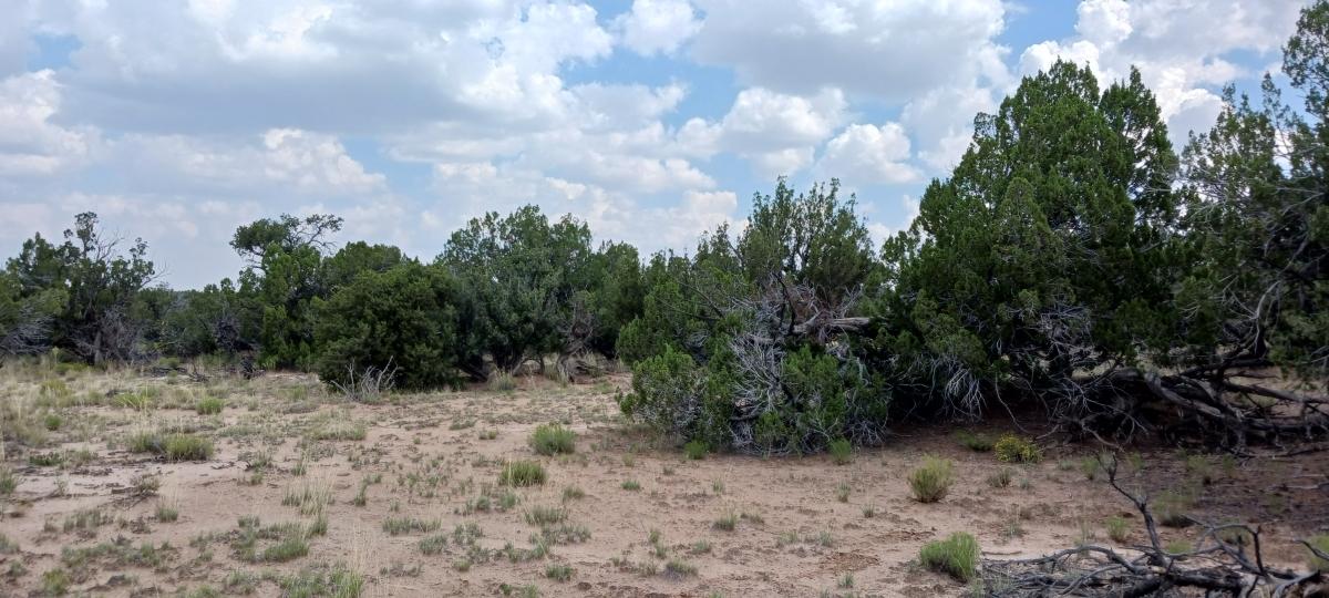  2.5 Acres for Sale in Chambers, Arizona