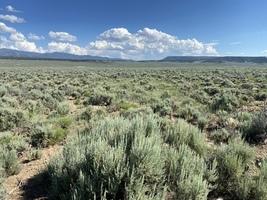  5 Acres for Sale in Mesita, Colorado