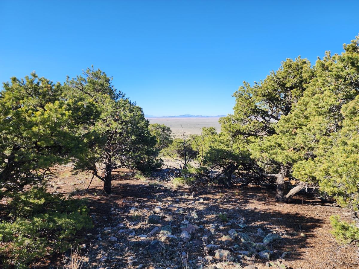  5 Acres for Sale in Blanca, Colorado