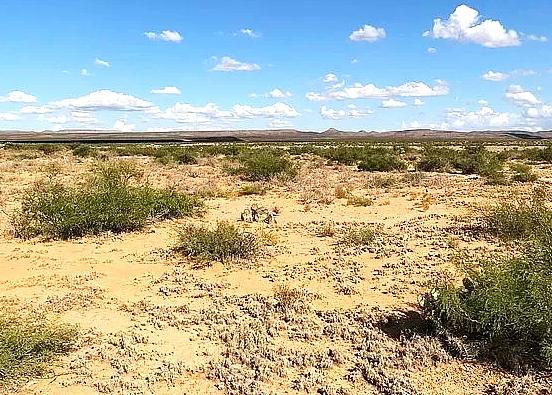  20 Acres for Sale in Sierra Blanca, Texas