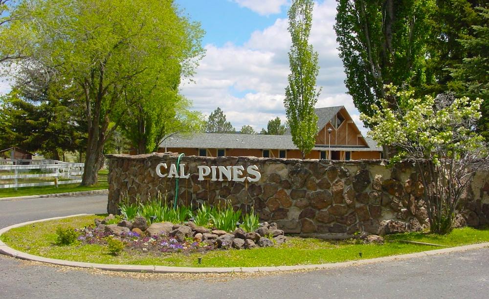  0.98 Acres for Sale in California Pines, California