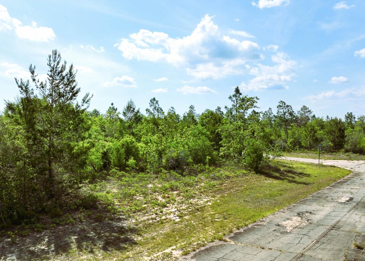  0.59 Acres for Sale in Chipley, Florida