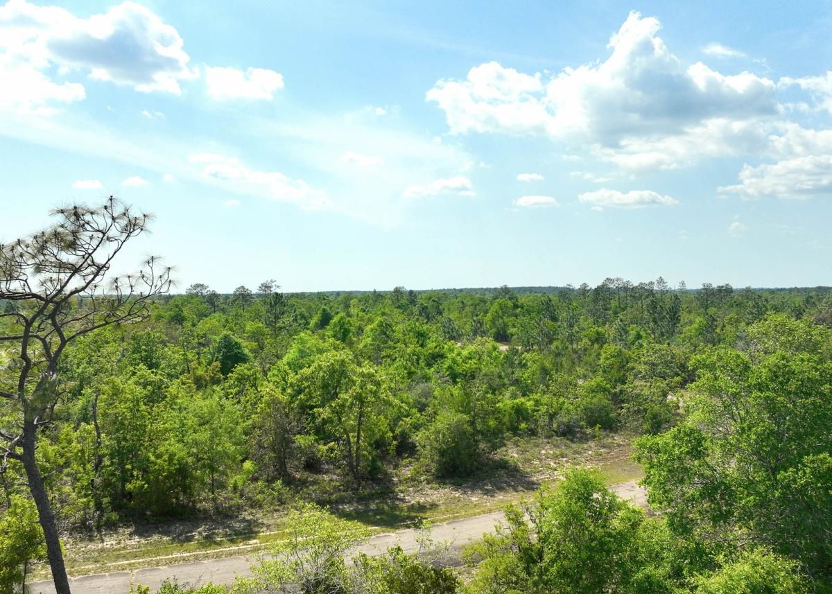  0.59 Acres for Sale in Chipley, Florida