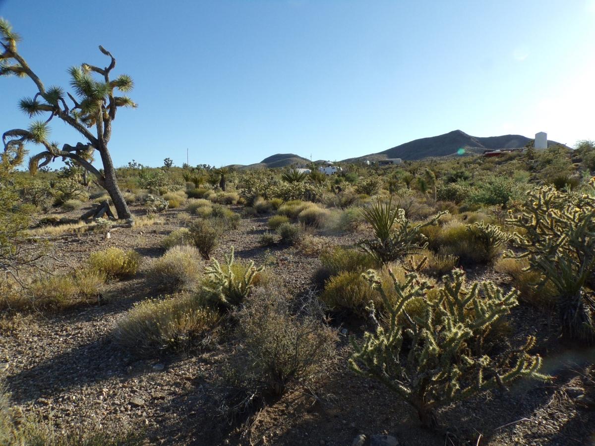  1 Acres for Sale in Meadview, Arizona