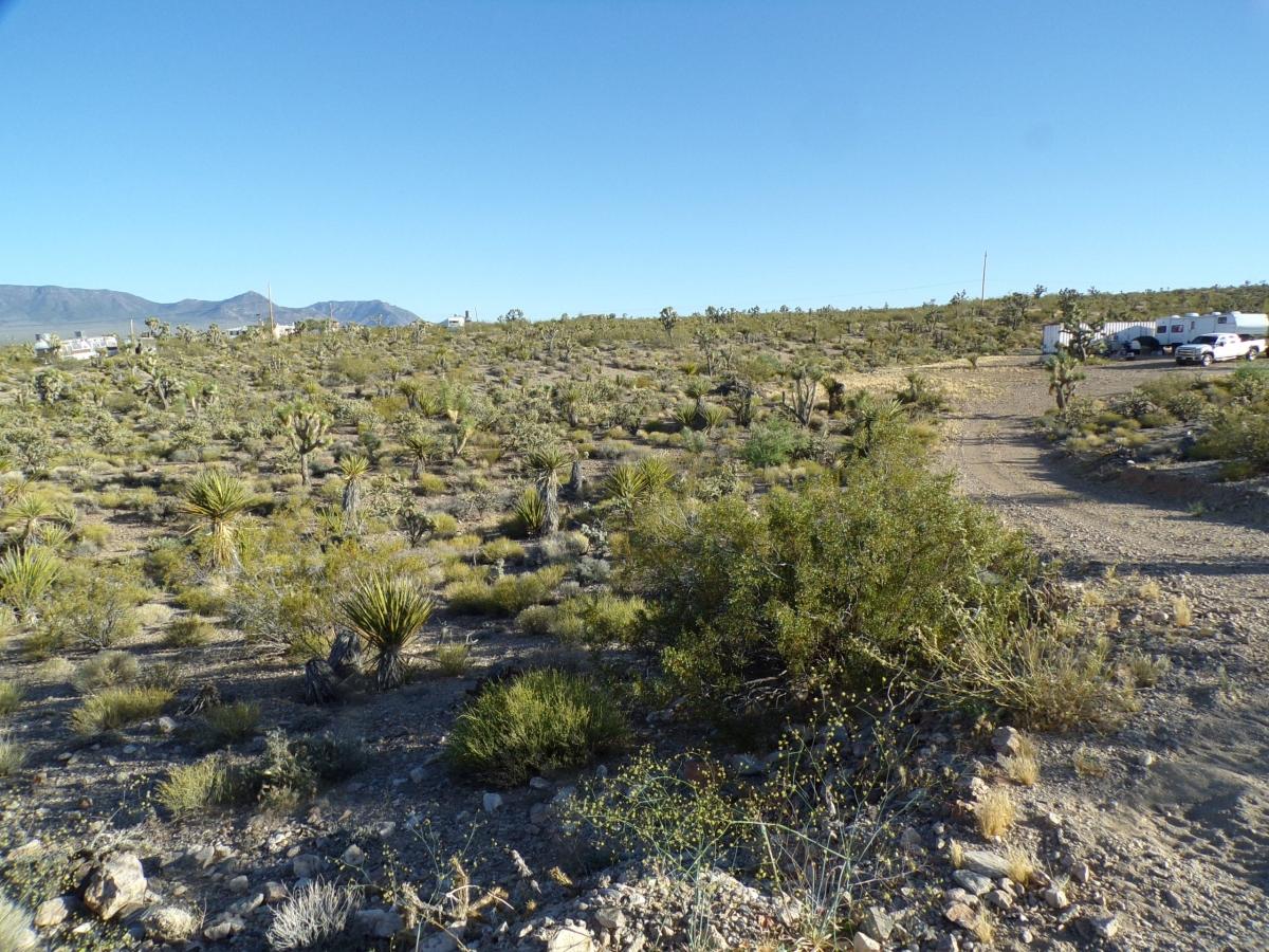  1 Acres for Sale in Meadview, Arizona