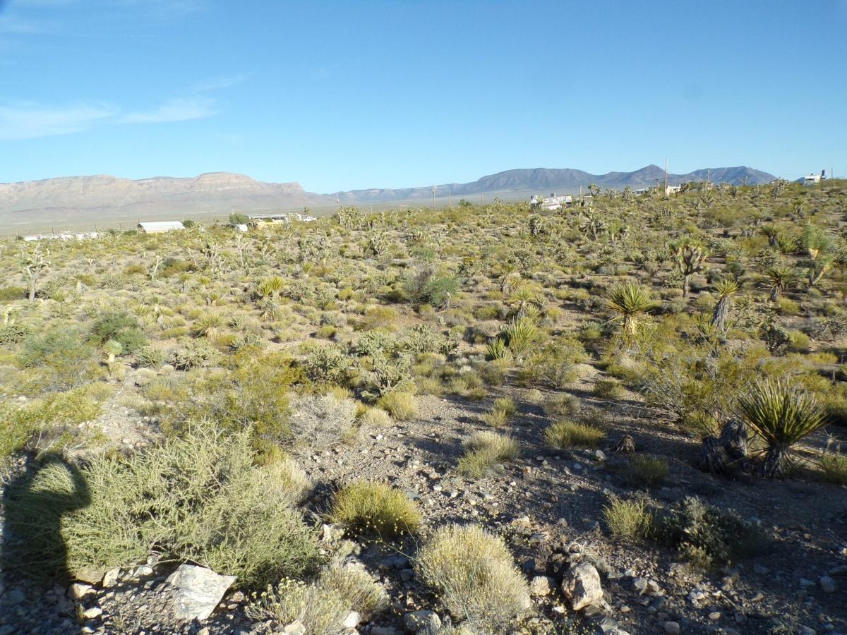  1 Acres for Sale in Meadview, Arizona