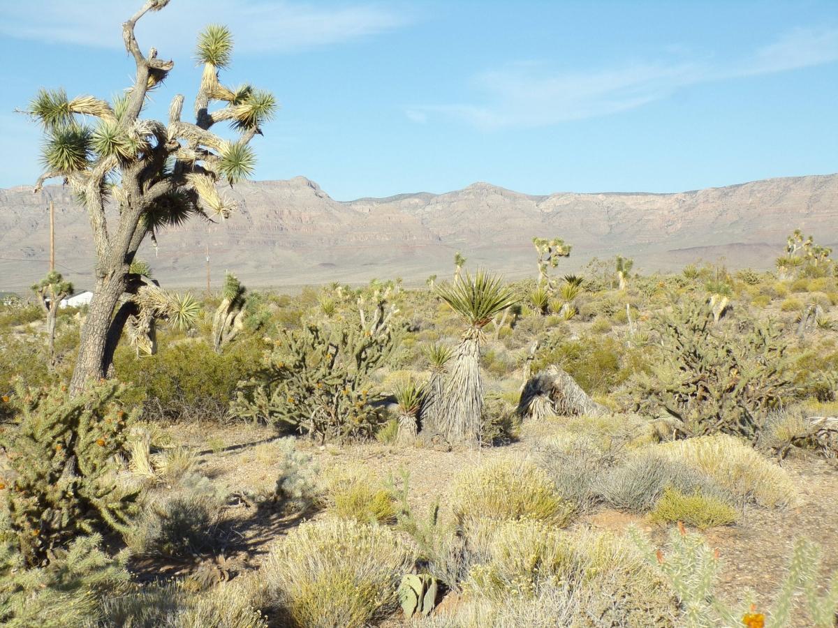  1 Acres for Sale in Meadview, Arizona