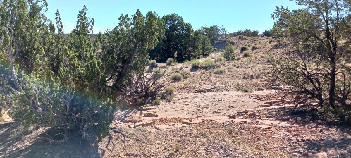  10 Acres for Sale in Sanders, Arizona