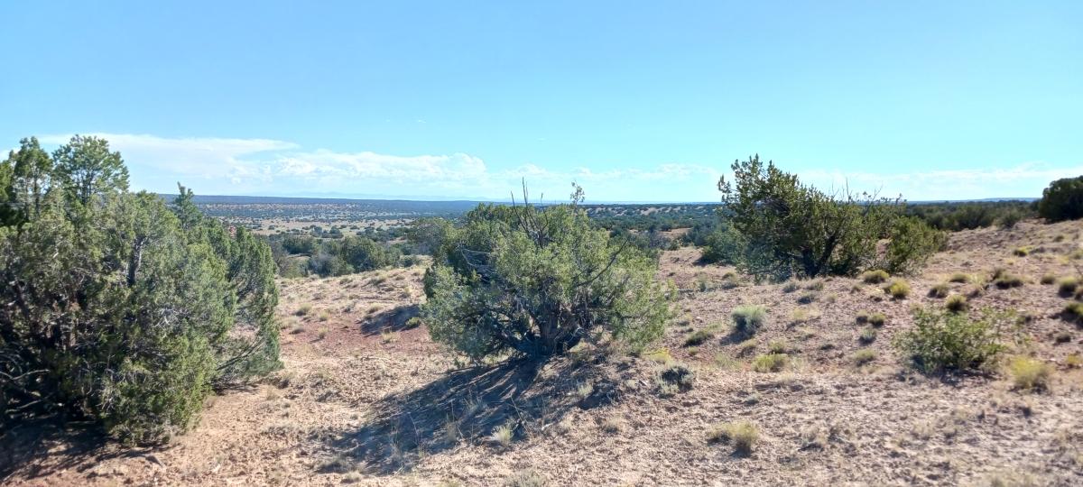  10 Acres for Sale in Sanders, Arizona