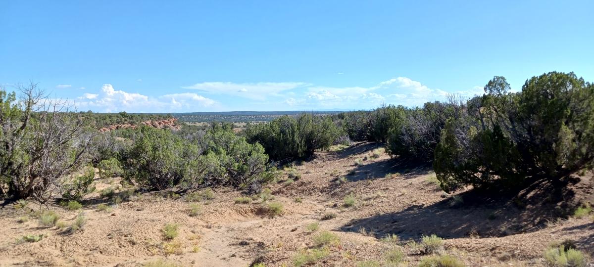  10 Acres for Sale in Sanders, Arizona