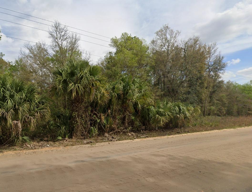  0.22 Acres for Sale in Interlachen, Florida