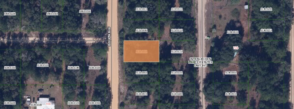  0.22 Acres for Sale in Interlachen, Florida