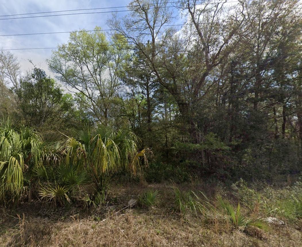  0.22 Acres for Sale in Interlachen, Florida