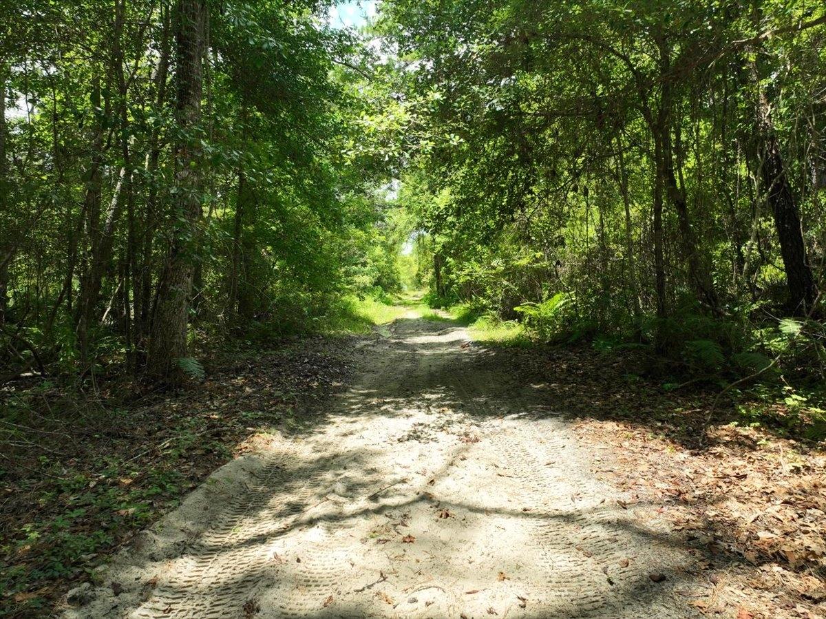  0.34 Acres for Sale in Florahome, Florida