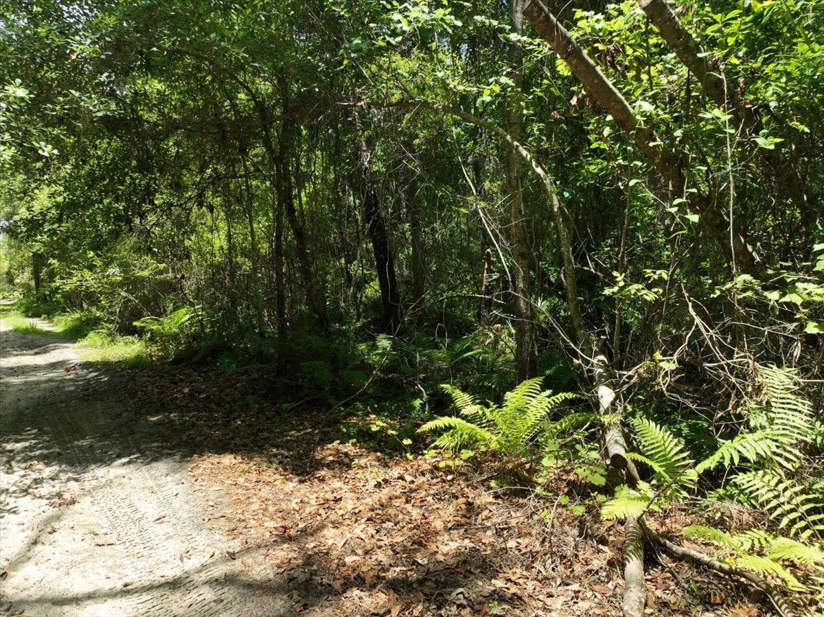  0.34 Acres for Sale in Florahome, Florida