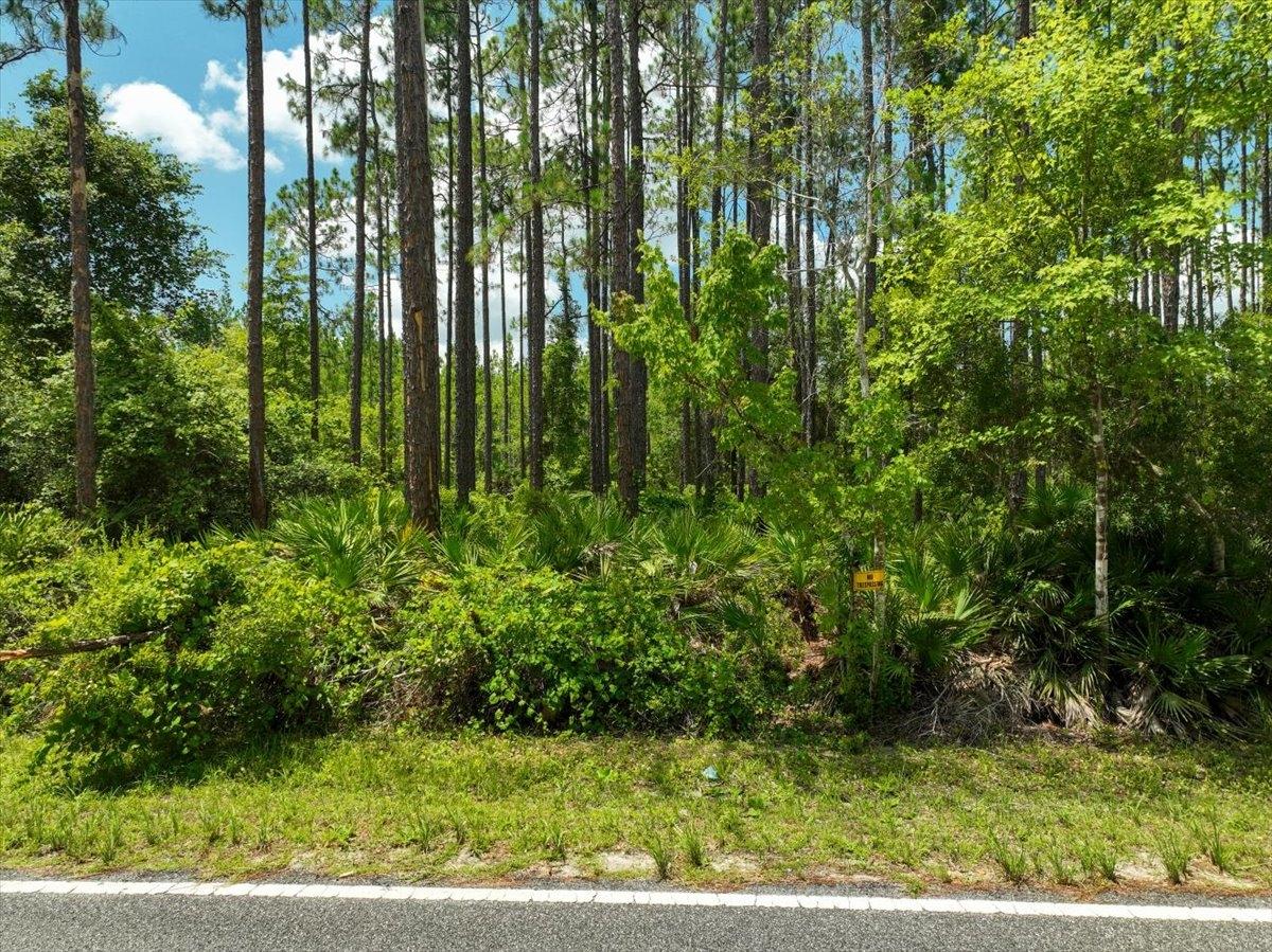  0.36 Acres for Sale in Interlachen, Florida