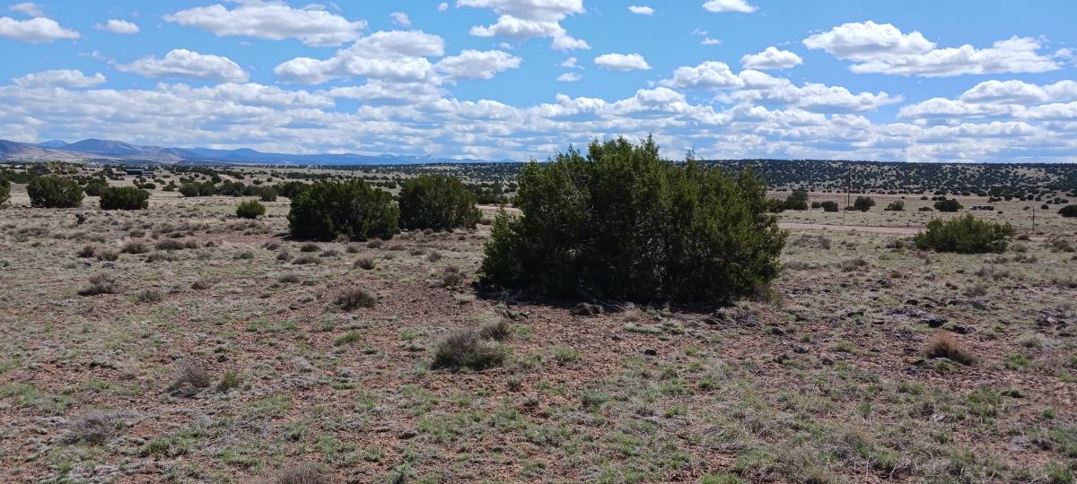  1 Acres for Sale in Concho, Arizona